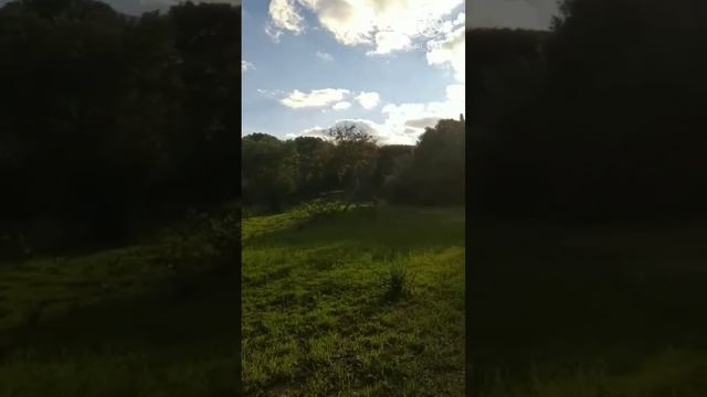 Турция,суровый январь и ласковые собаки🐶🐾🌊☀️