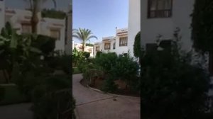 Видео отзыв из Египта,Отель Dive inn 4*