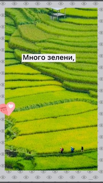 Плюсы жизни во Въетнаме !🇻🇳#vietnam #нячанг2023 #отдых #въетнам #нячанг смотреть онлайн