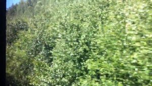 Поезд №233 Екатеринбург-Адлер