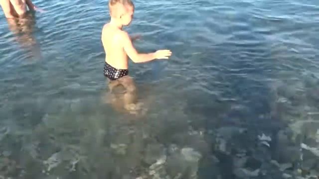 Лазаревское Слава море и рыбки смотреть онлайн