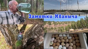 Берёзовый сок, заложили яйца в инкубатор. В поисках Шлёпы.