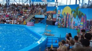 Сочи и Сириус: День в Парке Аттракционов