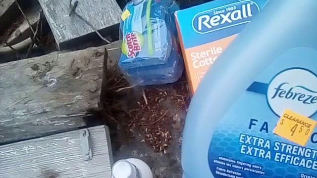 Dollar General clearance! Brown. Clearance! and a Family Dollar 5 off of 25 boo boo! смотреть онлайн