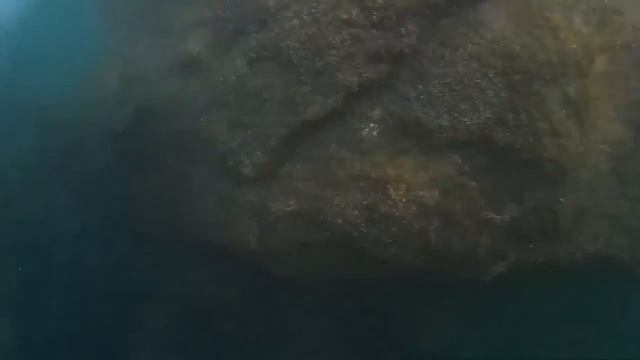 VLOG №10⁄Первая съемка под водой смотреть онлайн