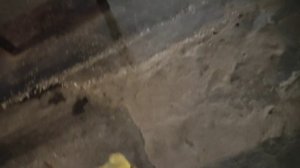 ЗАЕХАЛИ В ЧИЖИК КУПИТЬ ПРОДУКТЫ🛒