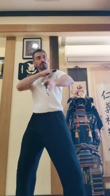 Тренировка #саи #sai #training #tutorial #kungfu #kata #shaolin #fitness #freestyle смотреть онлайн