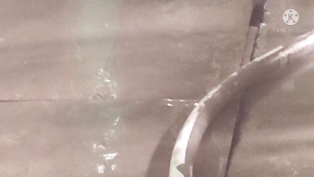 Последствия потопа! 17.08.2021г. смотреть онлайн