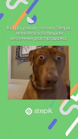 Распродажа уже на Stepik! До 2 июня курсы со скидками в нашем каталоге, ссылка в шапке профиля 👆🏻