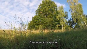 Измена жены. Завела роман с начальником и потеряла все: мужа, любовника, работу