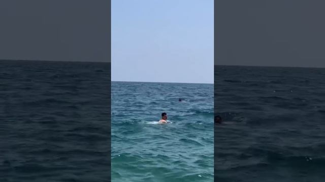 Турецкий влог #3 - Пляж Кониялты в Анталии смотреть онлайн