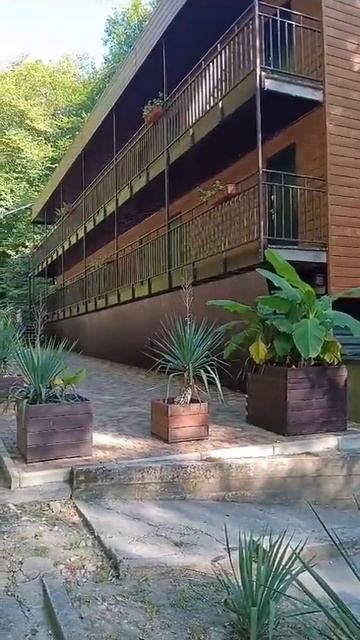 🌏 Окрестности Туапсе. Посёлок пансионата «Южный» 16.08.24 (2) 👍 смотреть онлайн