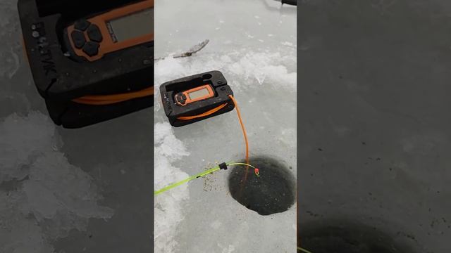 8 сентября 2023 г. смотреть онлайн