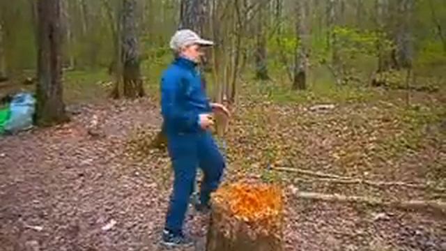 игорь в лесу смотреть онлайн