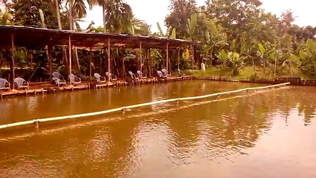 Рыбалка в Джакарте (Индонезия) смотреть онлайн