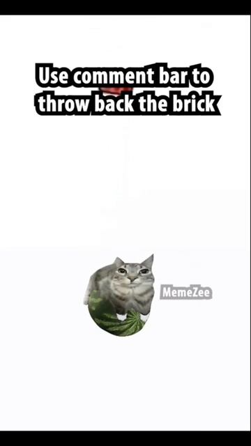 Camp Buddy I No use comment #memes #мемы #интересное #мемчики #рек