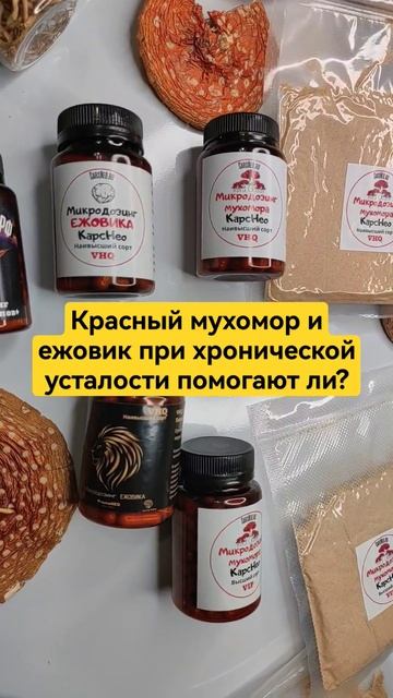 Красный мухомор и ежовик при хронической усталости помогают ли? #микродозингмухомора #пп смотреть онлайн