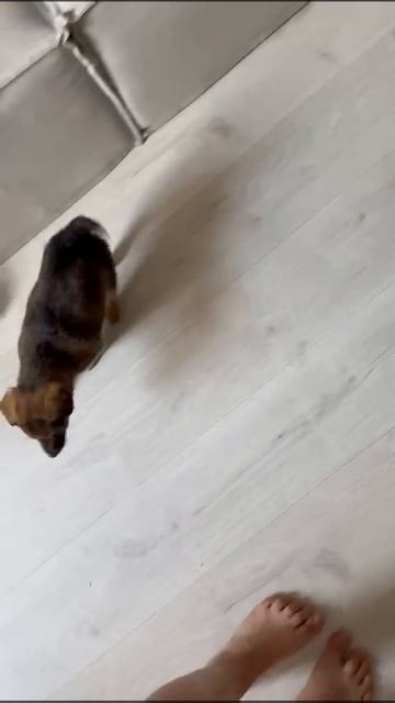 25-04-2025 смотреть онлайн