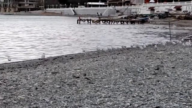 Геленджик смотреть онлайн