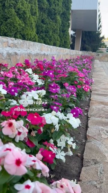 Санаторий Вешенский, Ростовская область. Родина писателя М. А. Шолохова #атомирегистрация #travel смотреть онлайн