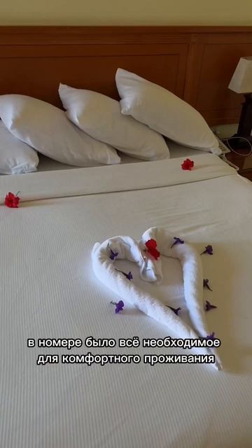 Название отеля: Amwaj Beach Club Abu Soma #abusoma #egypt #hurghada #египетвдекабре #море #египет смотреть онлайн