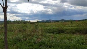 Китай, Цзямусы май 2024