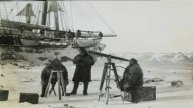 Моряки в Арктике обнаружили остров странных существ