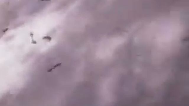 Zlost смотреть онлайн