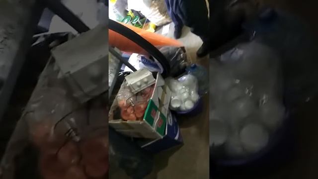 Протокол по нарушению карантина требухов киевская область смотреть онлайн