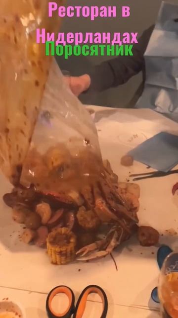 Поросятник _ Ресторан в Нидерландах смотреть онлайн
