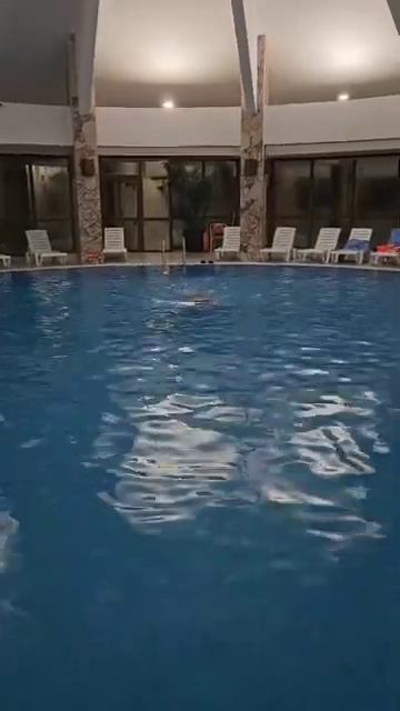 ЗОЖ,Дивный, Сочи 20.02.24 смотреть онлайн