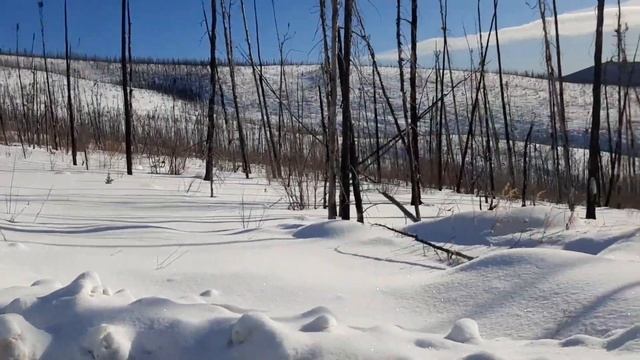 Dawson City, пикник в горах, Canada смотреть онлайн