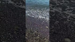 пляж Лоо 1; 28.06.2024 сегодня холодная вода в 🌊