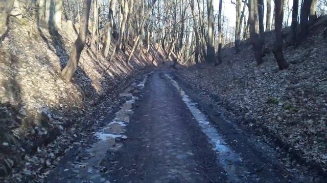 Черняховск  ул Приречная