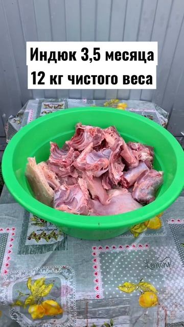 Хайбрид конвертер