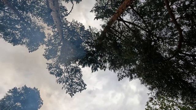 Поход 2022 Ладога смотреть онлайн