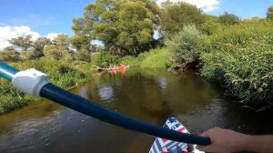 Сплав по реке Протве на сапе и байдарке | Васильево - Ефаново | 22 км | #sup