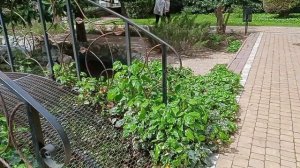 #Крым #Алушта Golden Family Resort