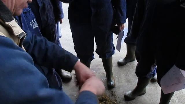 оценка сенажа смотреть онлайн