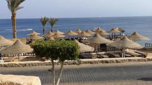 Египет, Hilton Sharks Bay Resort, 1 линия, Шарм-эль-Шейх,