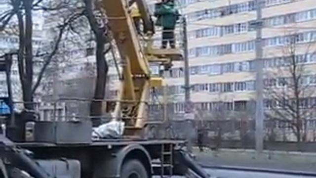 Ветки пилим на деревьях