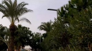 Long Beach Resort Турция обзор.