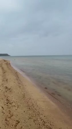 Темрюкский район 25.04.2025 Мазут, Чёрное море