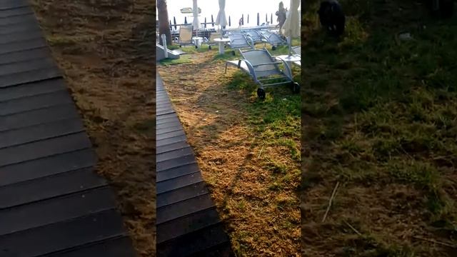 Территория отеля Iliada beach 4* в Протарасе, Кипр смотреть онлайн