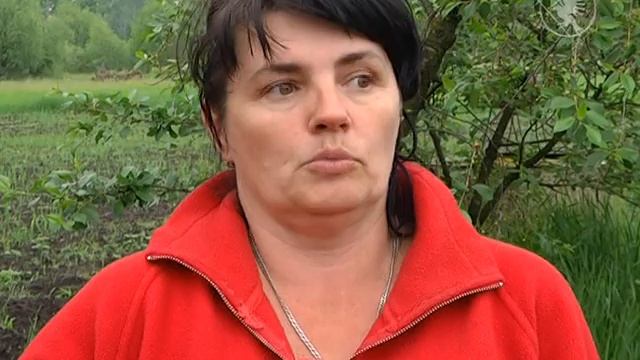 Розбився літак | Телеканал Новий Чернігів смотреть онлайн