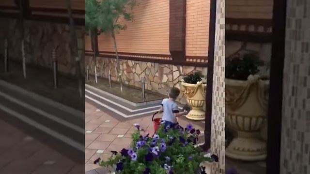 ЧЕЧЕНСКИЙ КЛАН МИЛЛИАРДЕРОВ смотреть онлайн