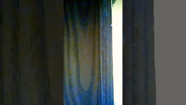 Машина реакция на Отель Элеон смотреть онлайн