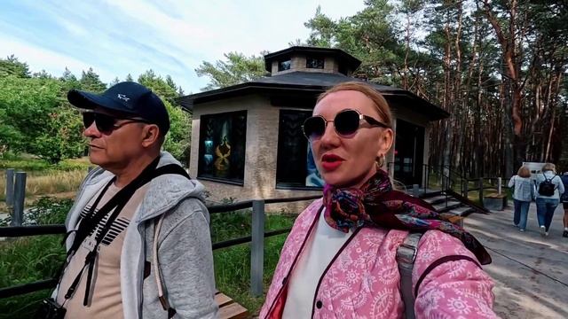 Куршская коса | Сколько стоит отдохнуть в Калининградской области смотреть онлайн