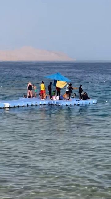 Egypt. Red Sea. Hilton Sharks bay. Sharm el Sheikh. Отель Хилтон Шаркс бей. Египет. смотреть онлайн