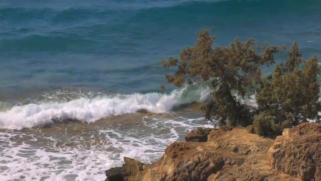 Relaxing Music ♫ Lounge ♫ Cafe ♫Mix Relax ♫ музыка для души ♫ #nocopyrightmusic #musictosleep